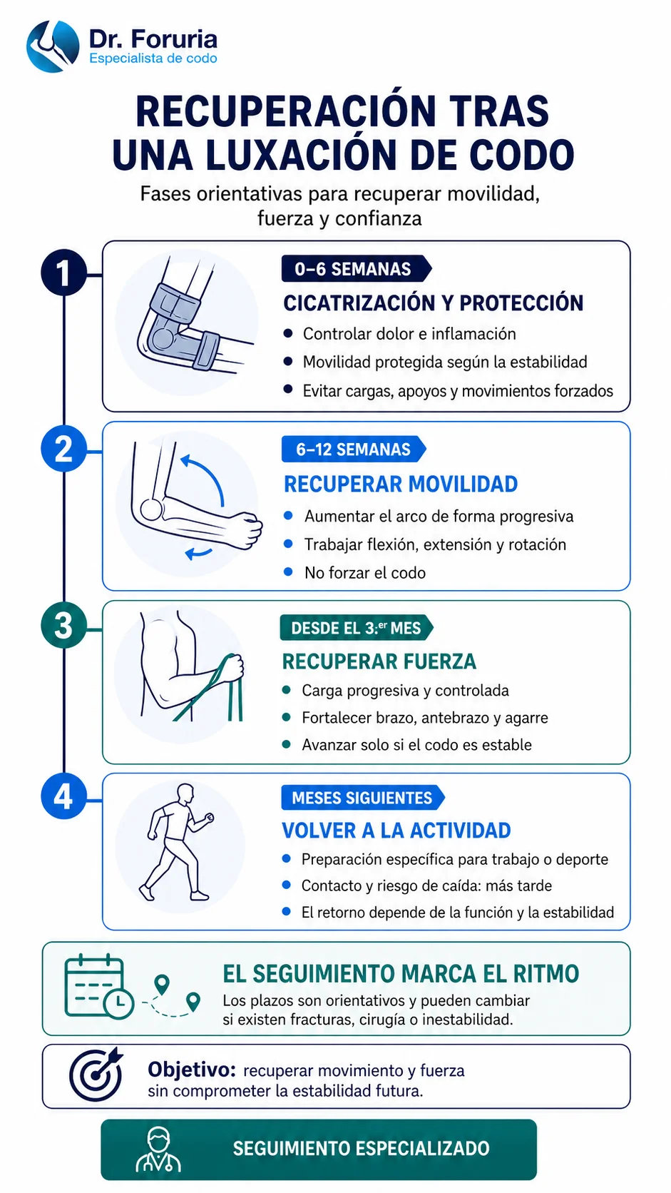 Infografía de las fases de recuperación tras una luxación de codo: cicatrización, movilidad, fuerza y vuelta a la actividad
